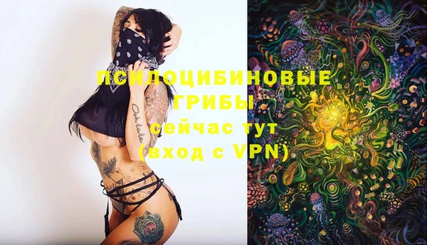 apvp Сосновка