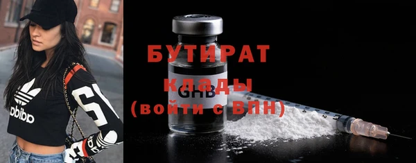 индика Сосновоборск