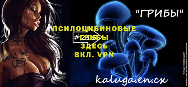 индика Сосновоборск